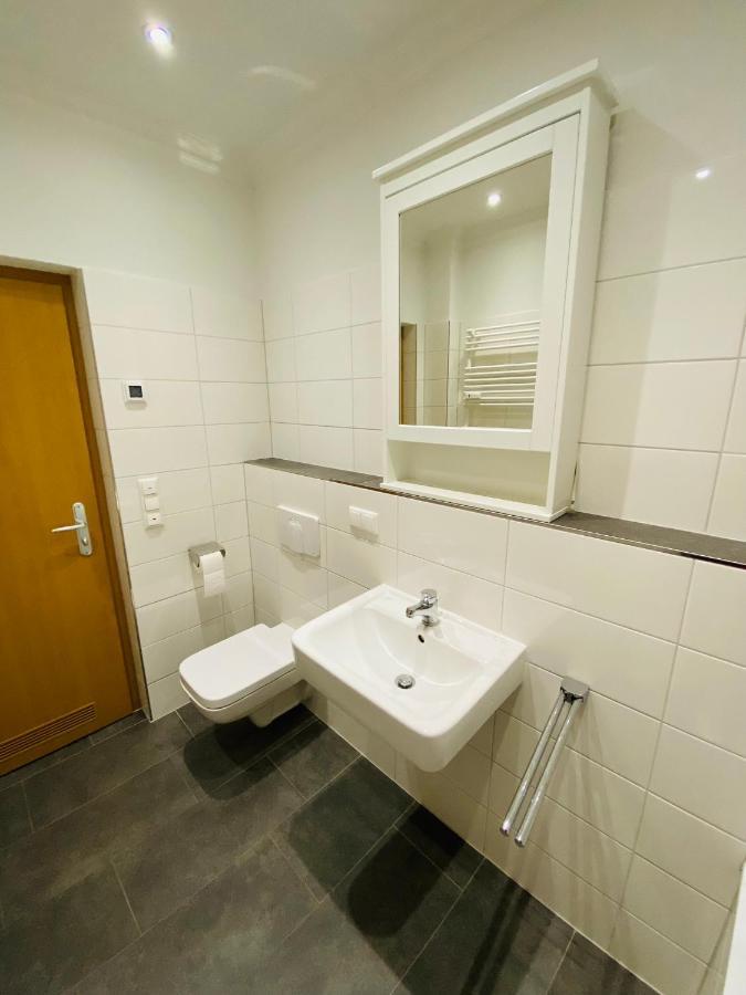 Luxury 3-Room Apartment Dresden Exteriör bild